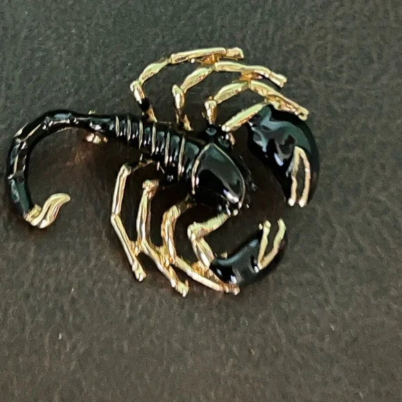 Beautiful SCORPION Brooch❣️ - Picture 1 of 5